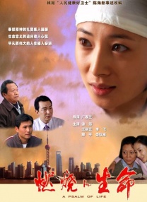 认真工作的女孩